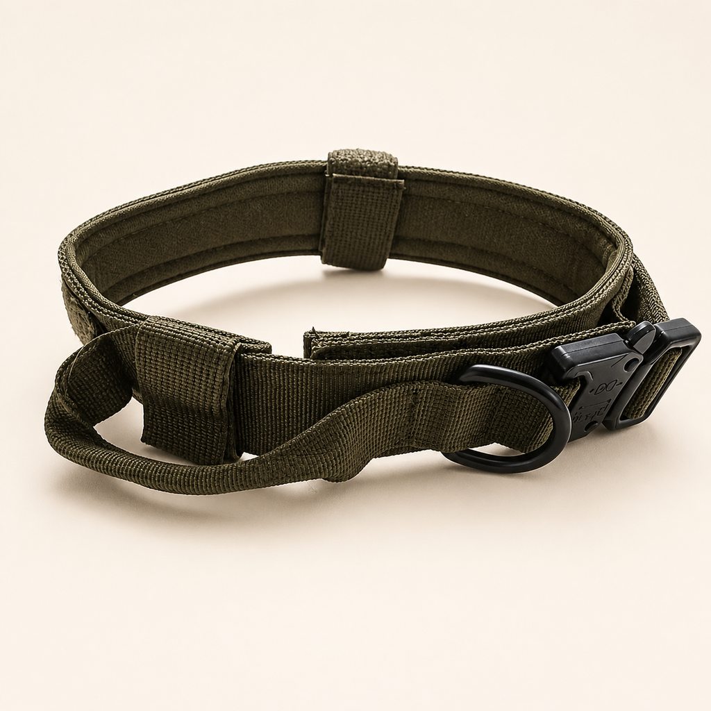 Adventure Pro Hundehalsband, 4 verschiedene Farben und 3 Größen